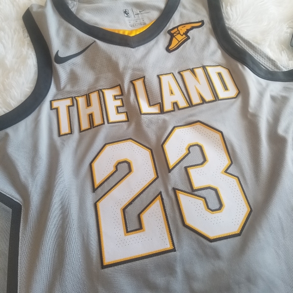 lebron james the land jersey